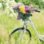 cykla-i-sommar-820×445